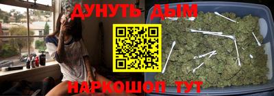 гашик Тверь