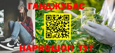 гашик Тверь