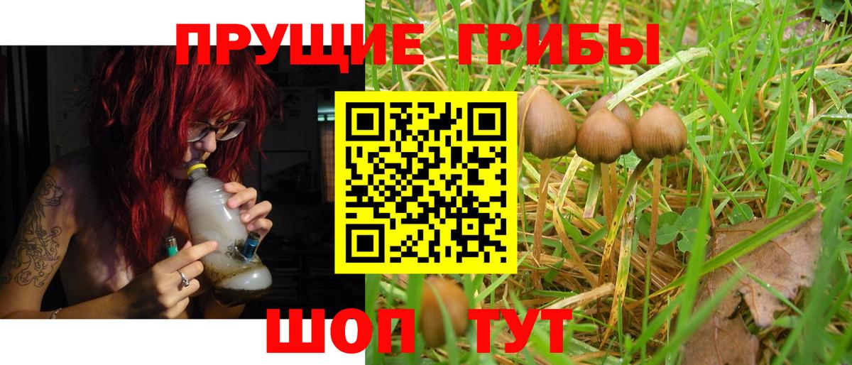 Галлюциногенные грибы Cubensis Новотроицк