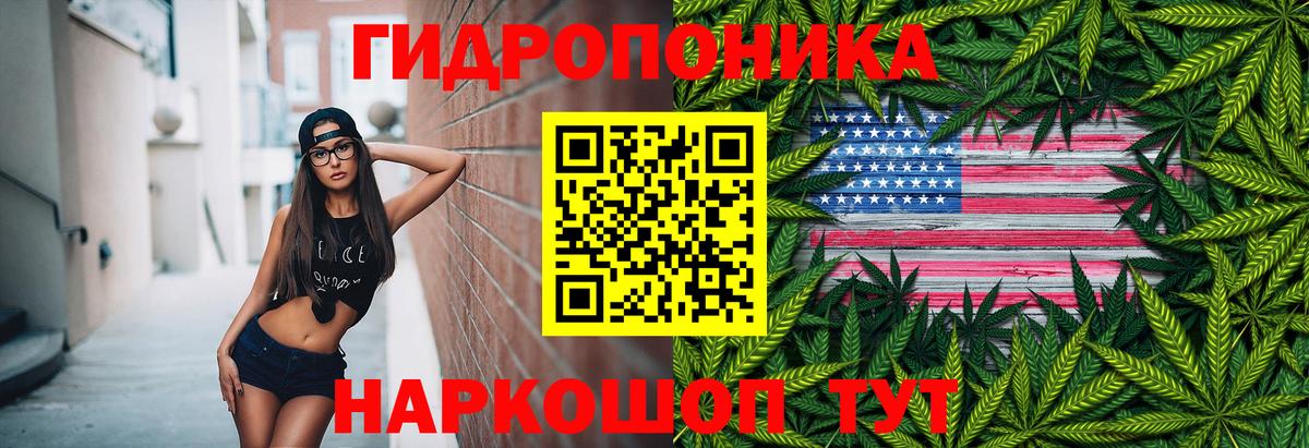 Конопля конопля  Каннабис сатива  Вход с VPN  Новотроицк 